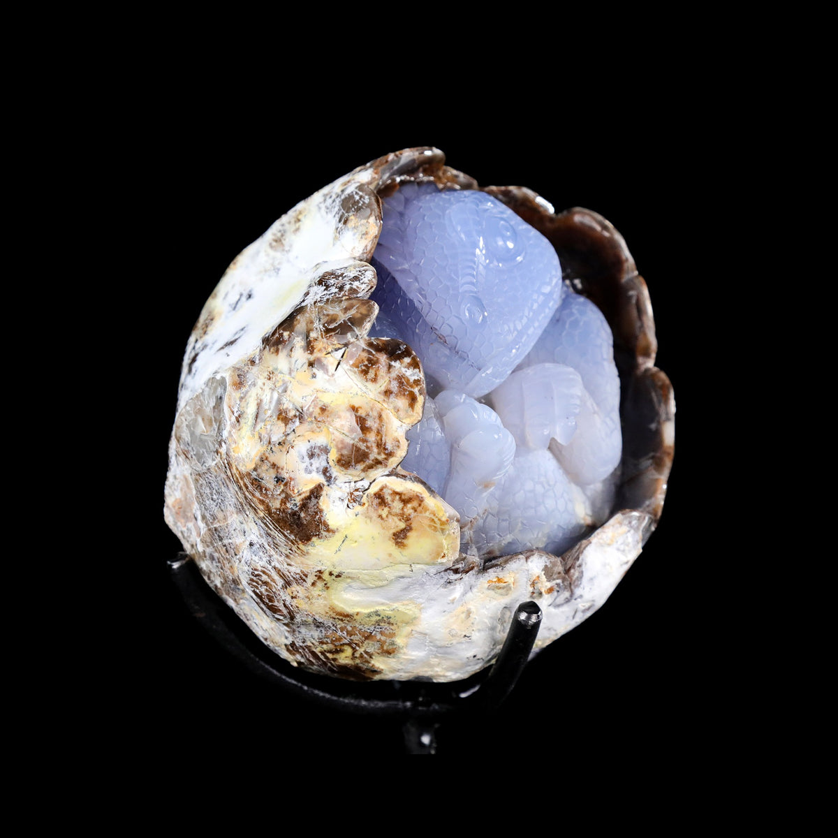 5.3" Blue Chalcedony Baby Dinosaur Carving  #CTC0080