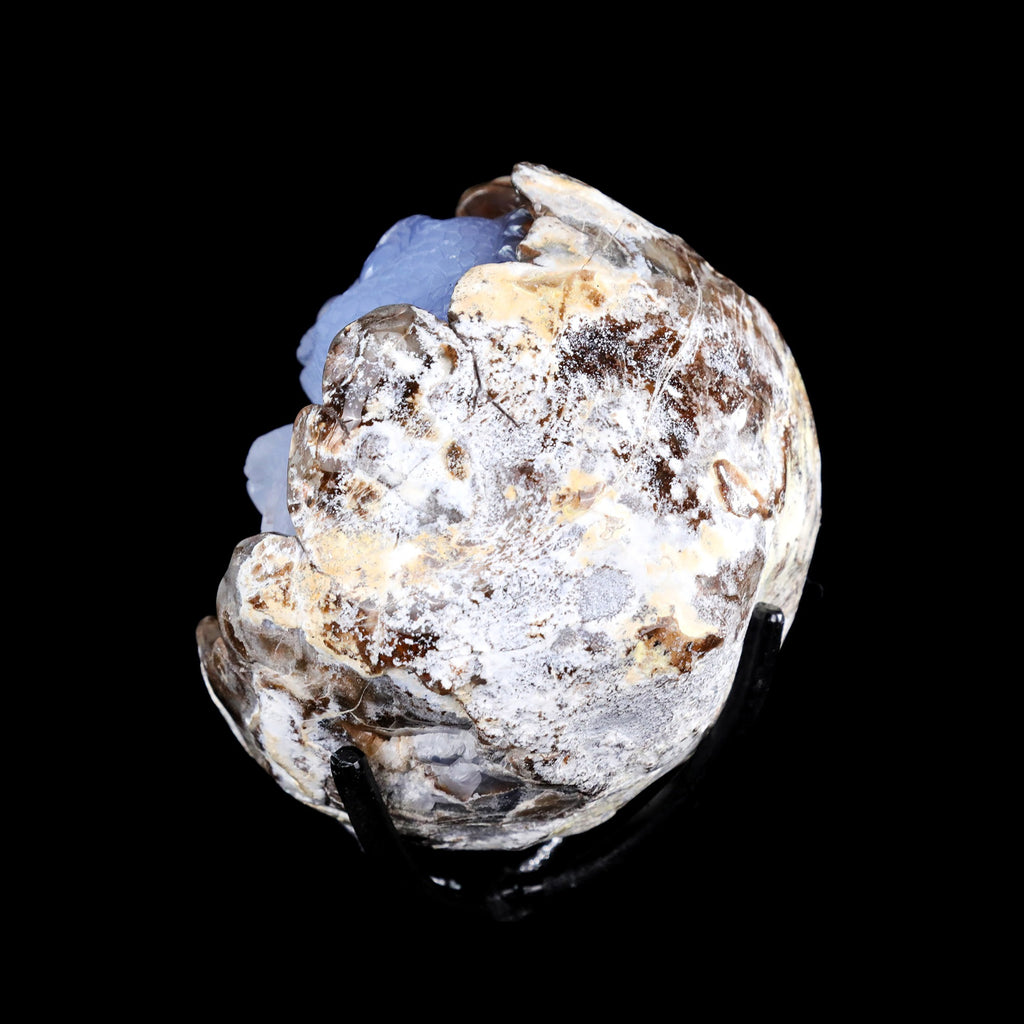 5.3" Blue Chalcedony Baby Dinosaur Carving  #CTC0081