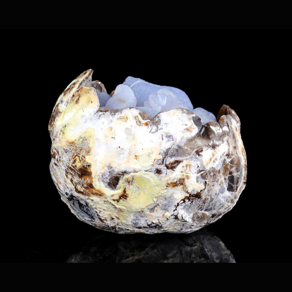 5.3" Blue Chalcedony Baby Dinosaur Carving  #CTC0081