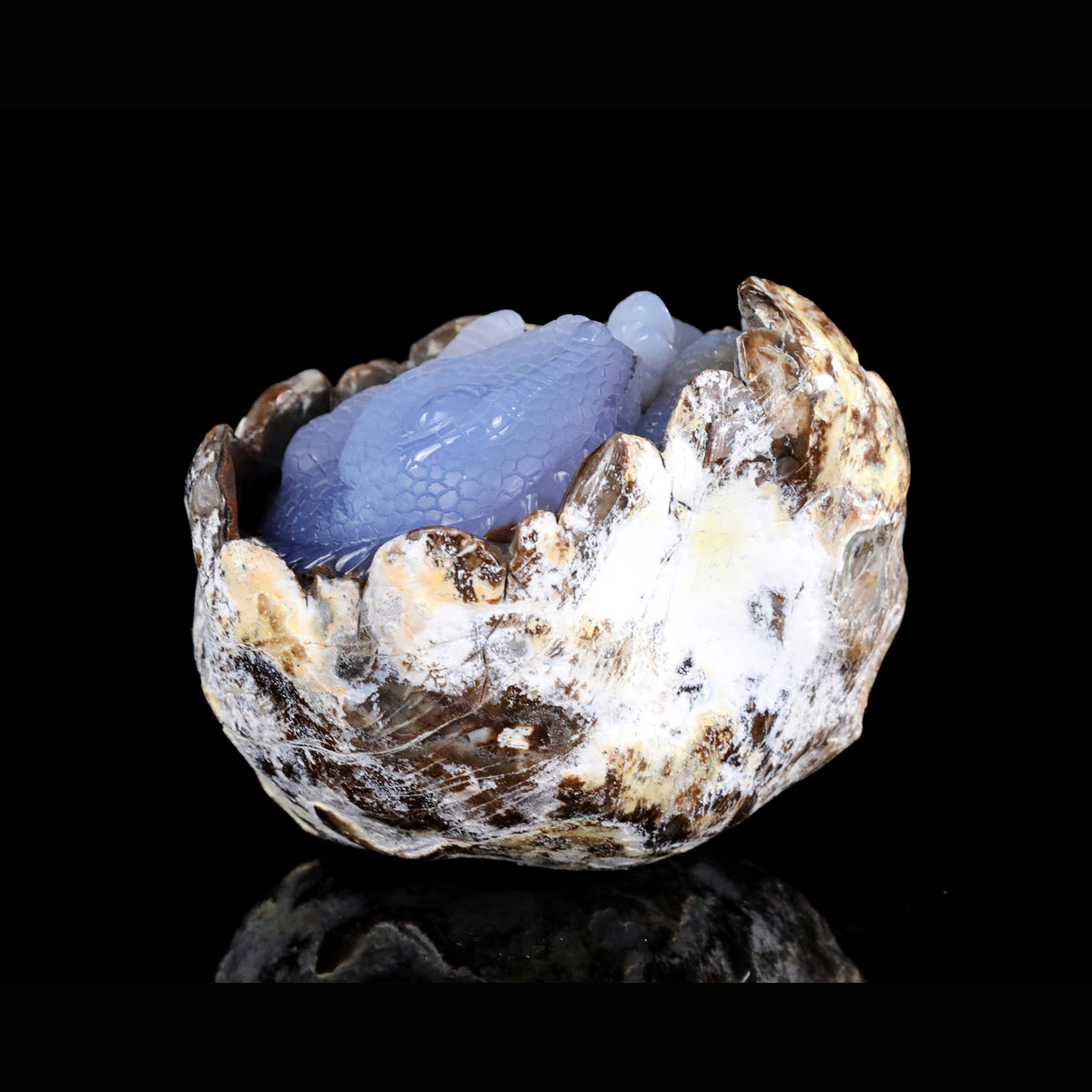 5.3" Blue Chalcedony Baby Dinosaur Carving  #CTC0080
