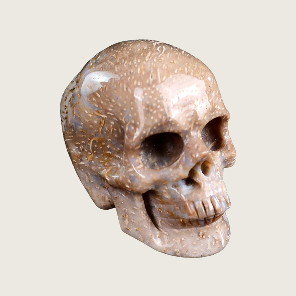 2.2" Coral Fossil Jade Human Skull Carving  #SKH22011