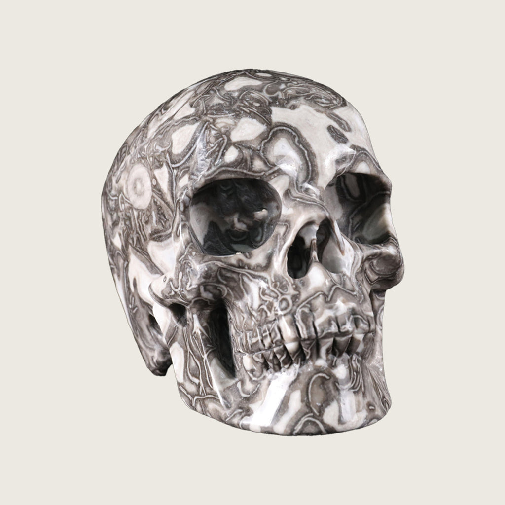 4.5" Black Crazy Agate Crystal Skull Carving  #SKH45011