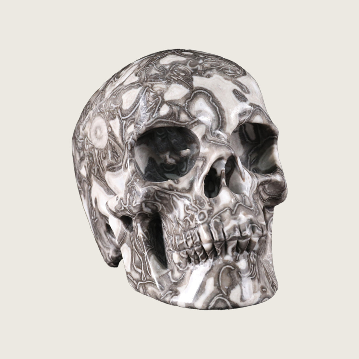 4.5" Black Crazy Agate Crystal Skull Carving  #SKH45011