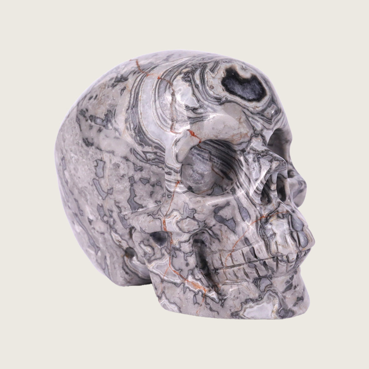3.0" Crocodile Jasper Crystal Skull Carving  #SKH30036
