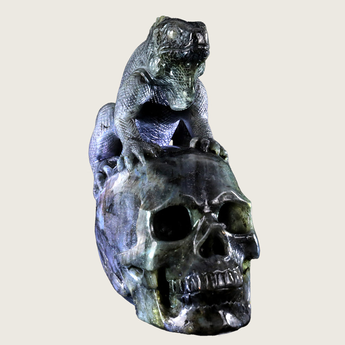 5.0" Labradorite Skull & Lizard Carving  #SCS0007