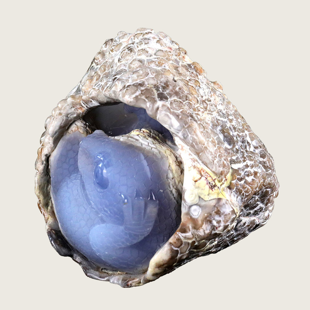 5.1" Blue Chalcedony Baby Dragon Carving  #CTC0015
