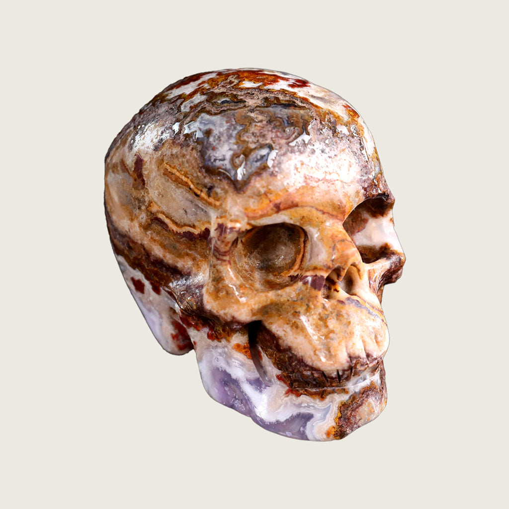 3.0" Red Crazy Lace Agate Crystal Skull Carving  #SKH30033