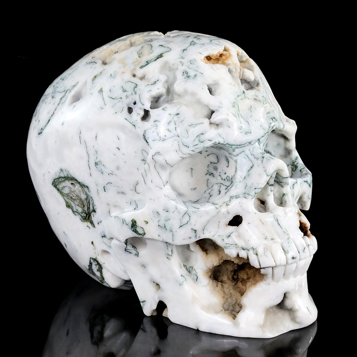 9.0" Moss Agate Crystal Skull Carving  #SCS0029