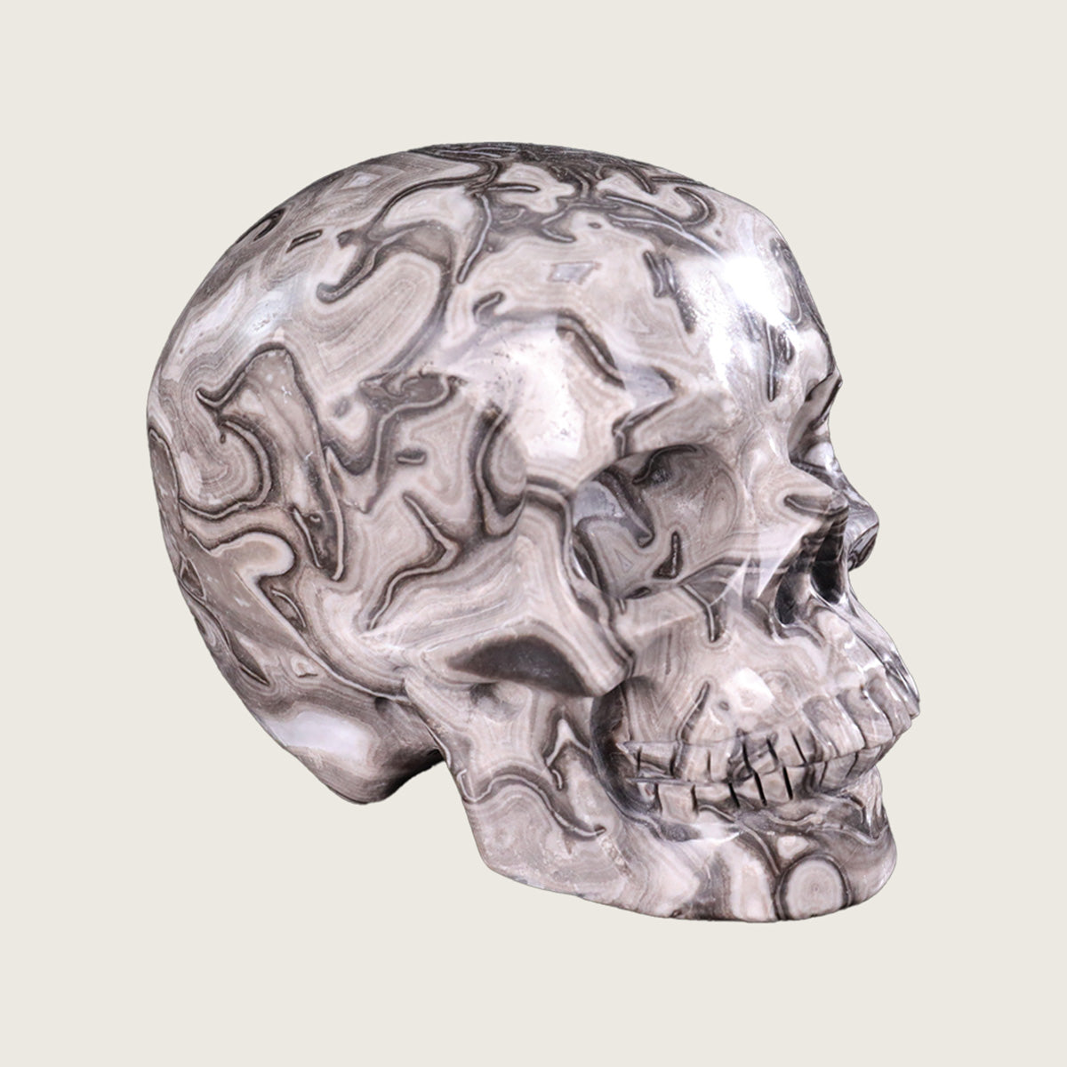 5.0" Black Crazy Lace Agate Human Skull Carving  #SCS0016