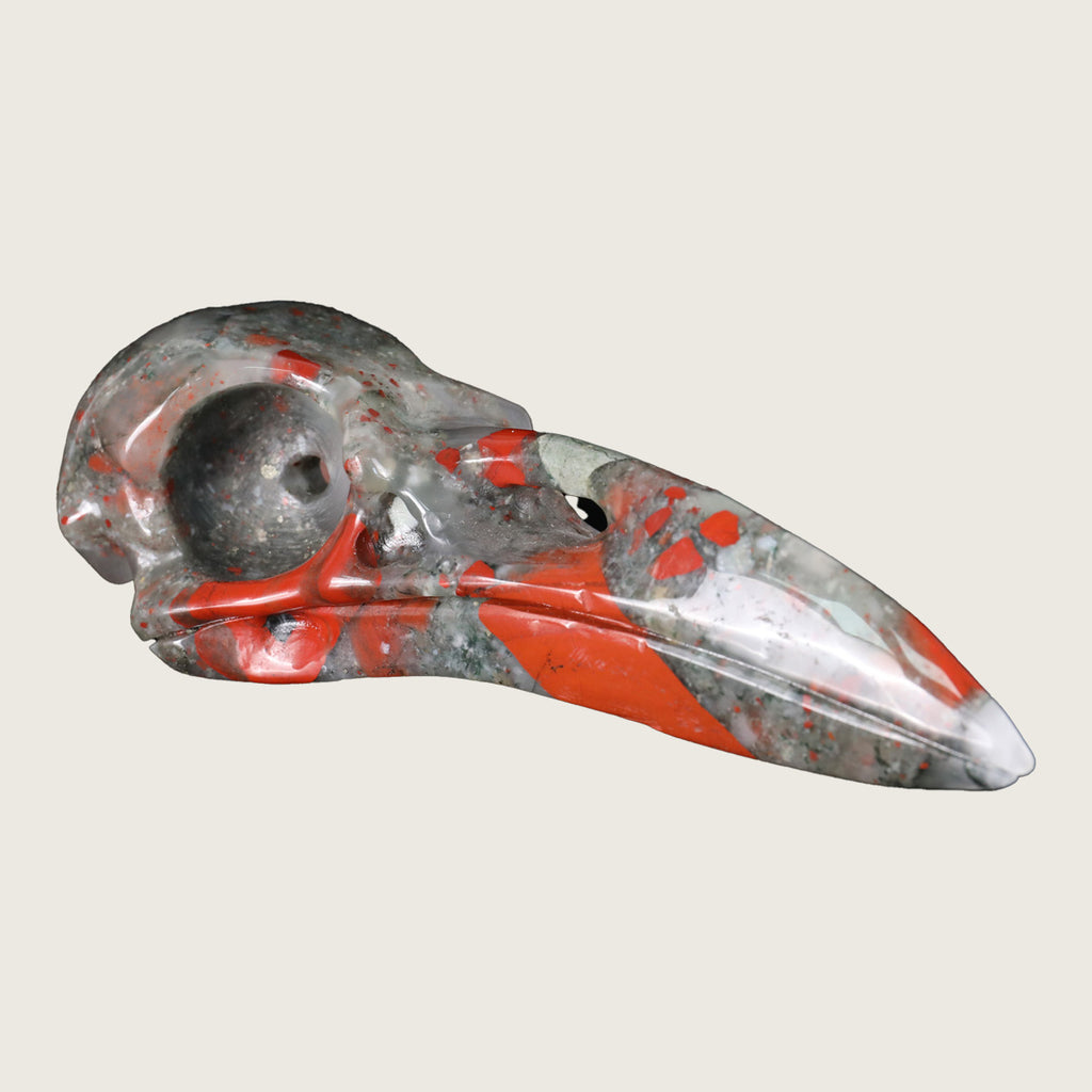 4.6" African Bloodstone Raven Skull Carving  #CSC0011