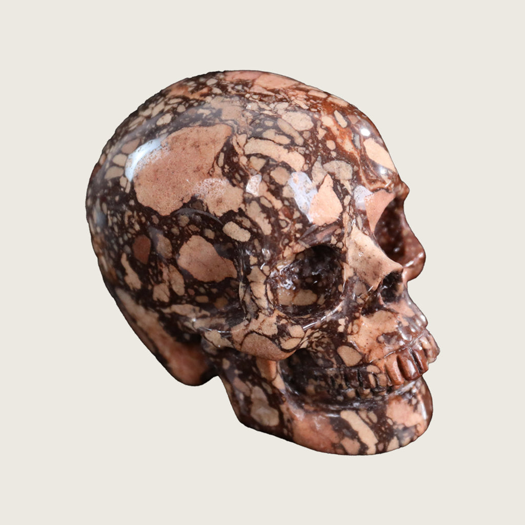 3.0" Coffee Stone Crystal Skull Carving  #SKH30059