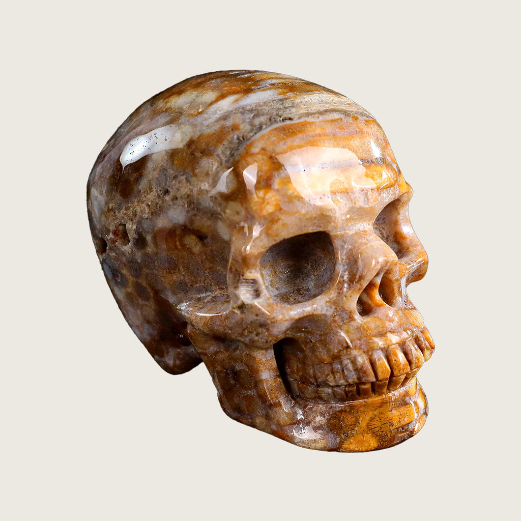 3.0" Coral Fossil Jade Crystal Skull Carving  #SKHCF3001