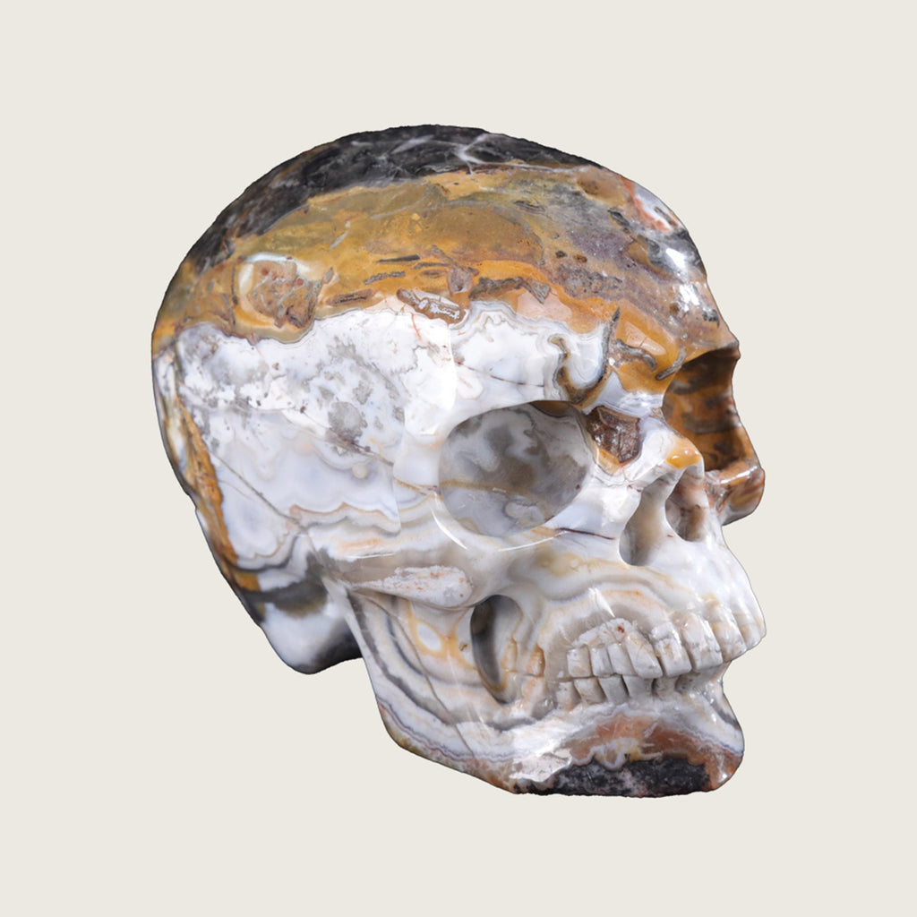 4.5" Red Crazy Lace Agate Human Skull Carving  #SKH45004