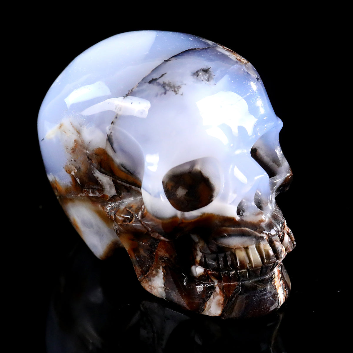 3.0" Blue Chalcedony Crystal Skull Carving  #SKH30106