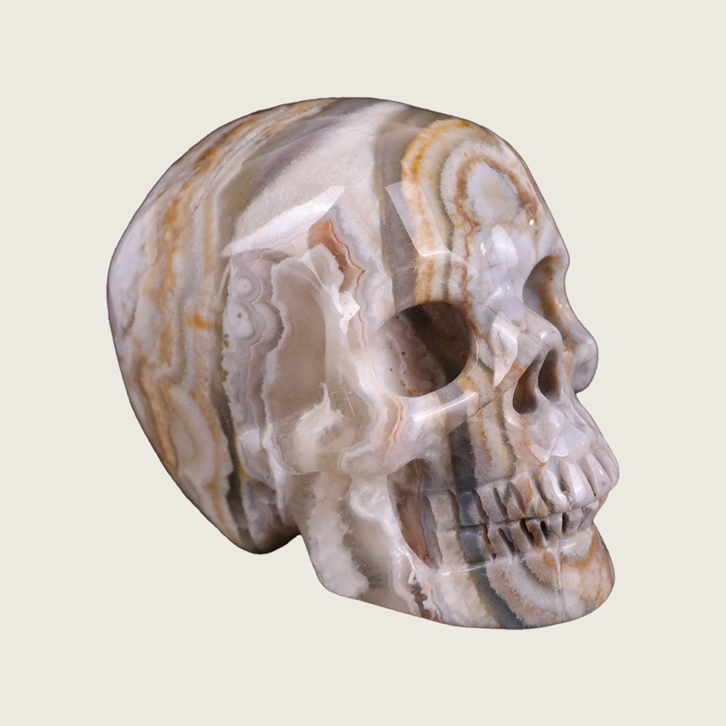2.2" Red Crazy Lace Agate Crystal Skull Carving  #SKH22035