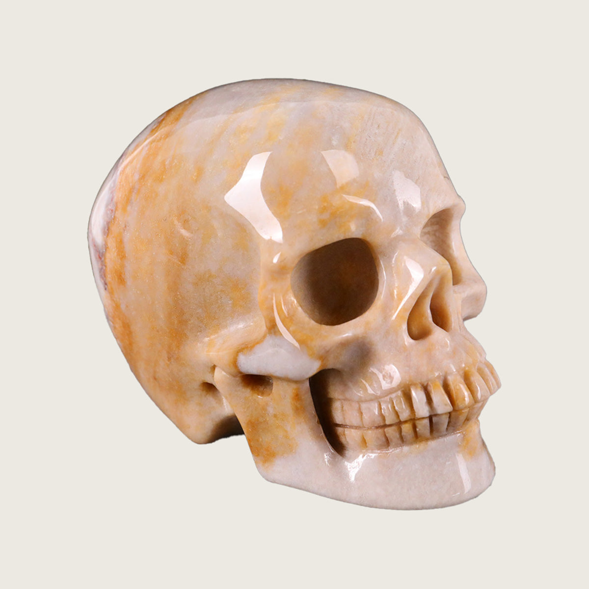 3.0" Coral Fossil Jade Human Skull Carving  #SKH30018