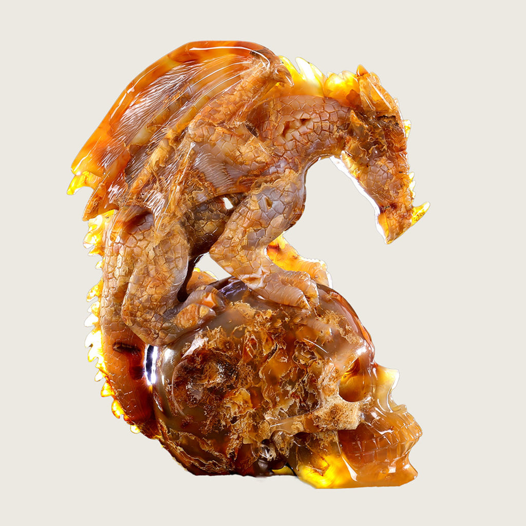 6.5" Rare Carnelian Skull & Pterosaur Carving  #SCS0003