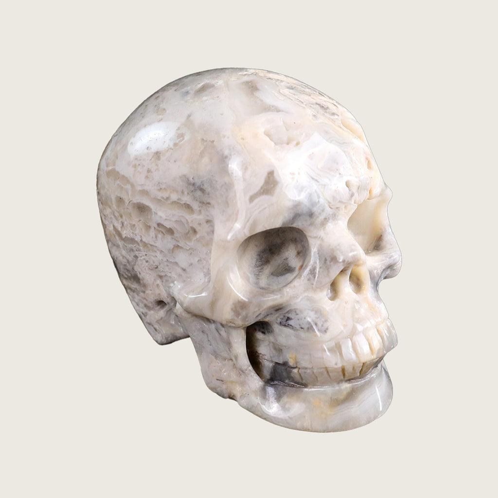 3.0" Crazy Lace Agate Crystal Skull Carving  #SKH30039