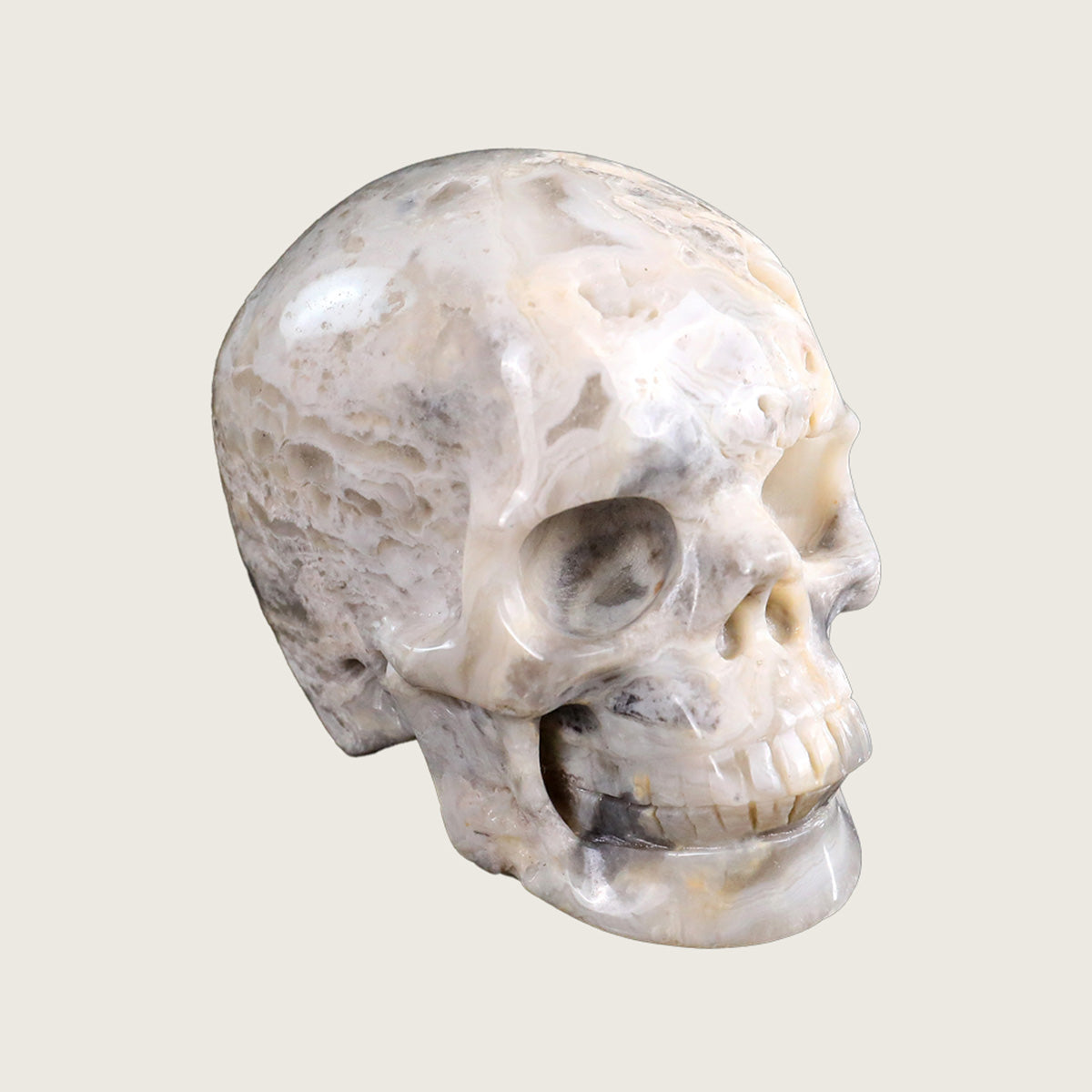 3.0" Crazy Lace Agate Crystal Skull Carving  #SKH30039