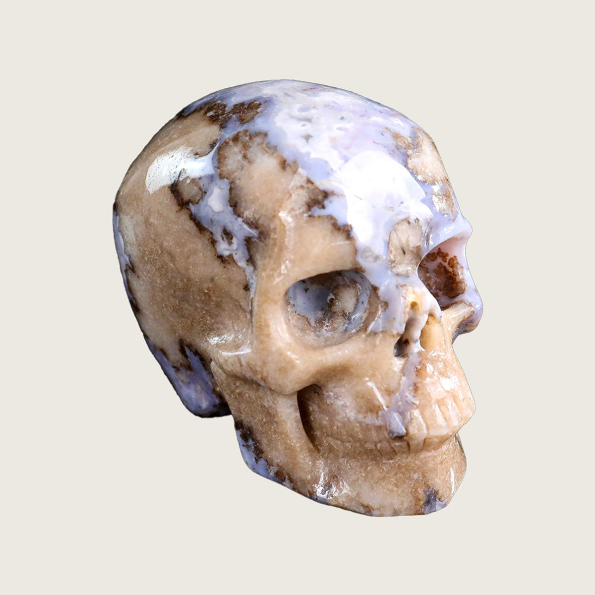 3.0" Blue Flower Agate Crystal Skull Carving  #SKH30034