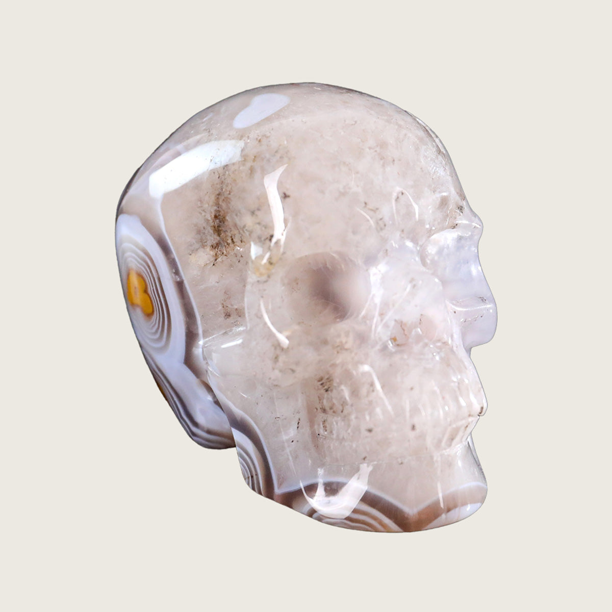 3.0" Red Crazy Lace Agate Human Skull Carving  #SKH30010