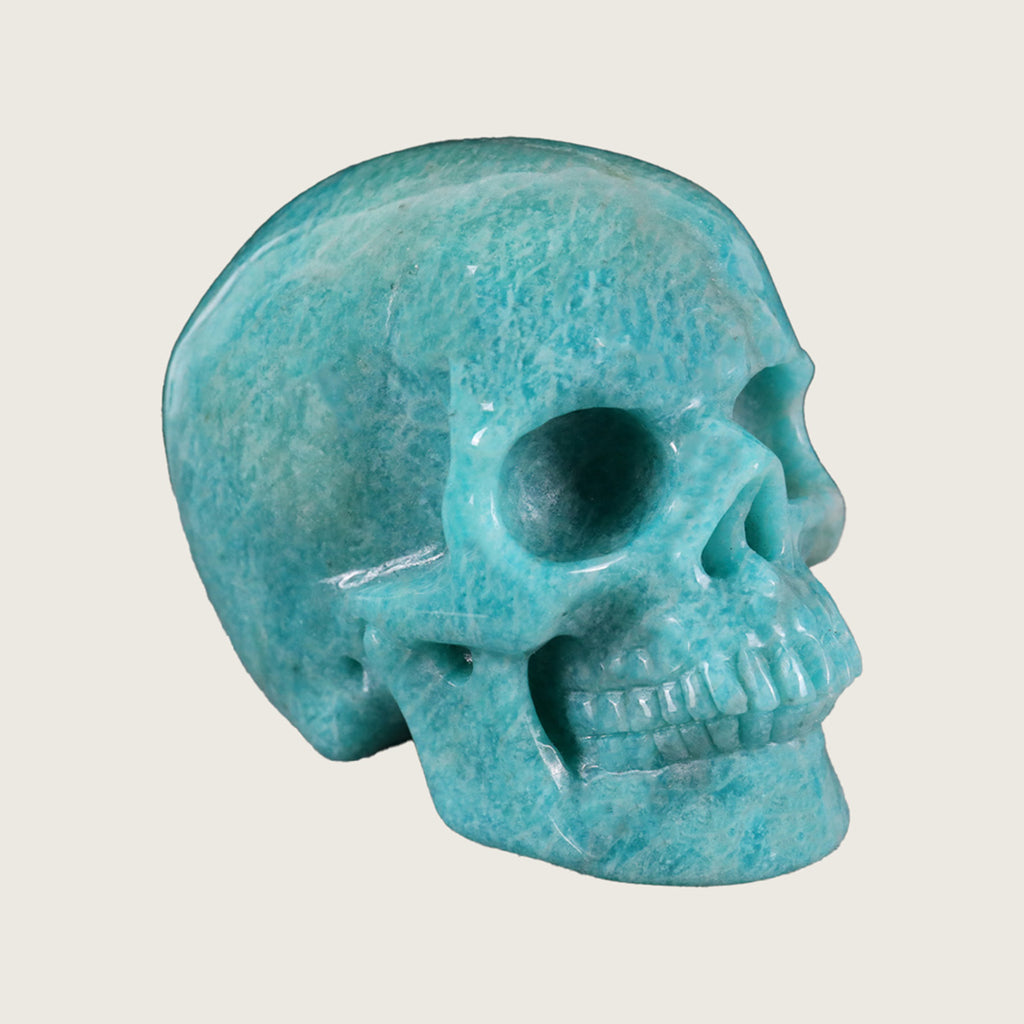 3.0" Amazonite Human Skull Carving  #SKH30024