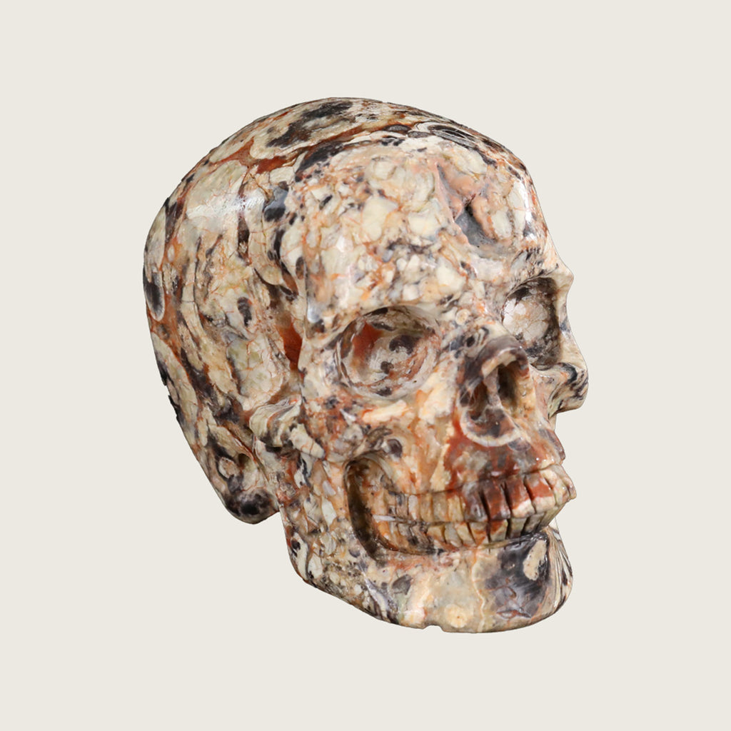 4.5" Coin Agate Crystal Skull Carving  #SKH45025