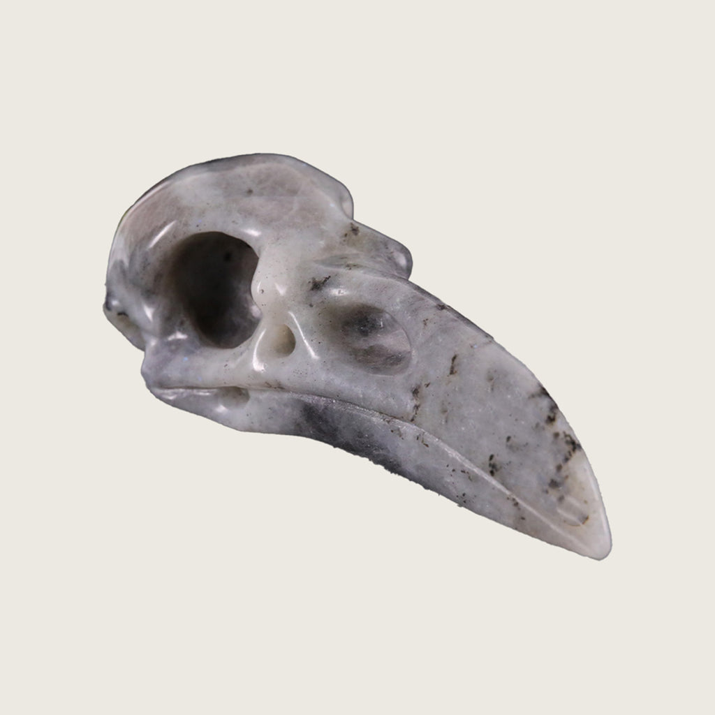 4.6" Labradorite Raven Skull Carving  #CSC0019