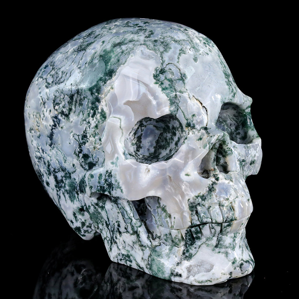 8.0" Moss Agate Crystal Skull Carving  #SCS0024