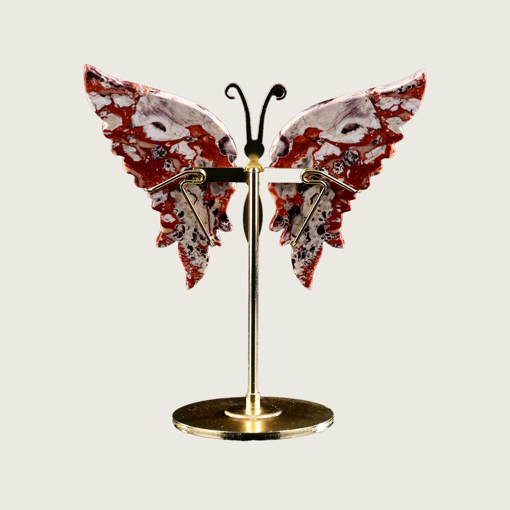 5.0" Coin Agate Butterfly Wings Carving  #CHA0004
