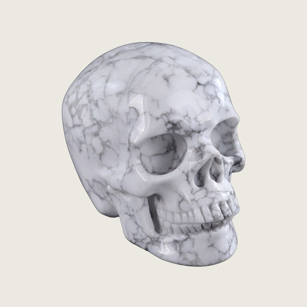 4.5" Howlite Human Skull Carving  #SKH45007
