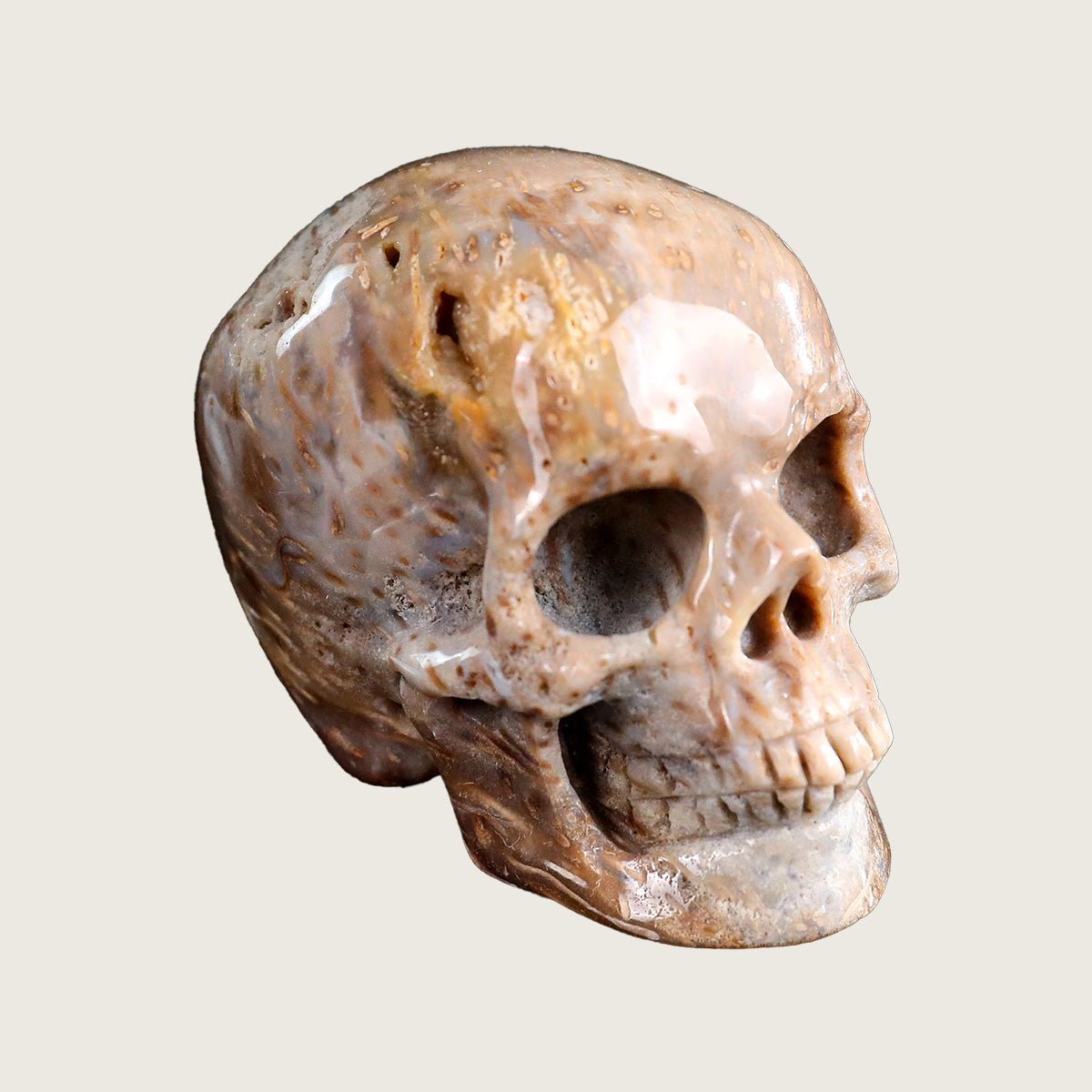 2.2" Coral Fossil Jade Crystal Skull Carving  #SKHCF2201