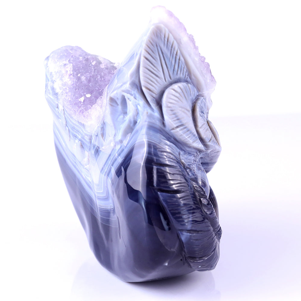 6.1" Amethyst Cluster Owl Head Carving - Unique Piece #3100104
