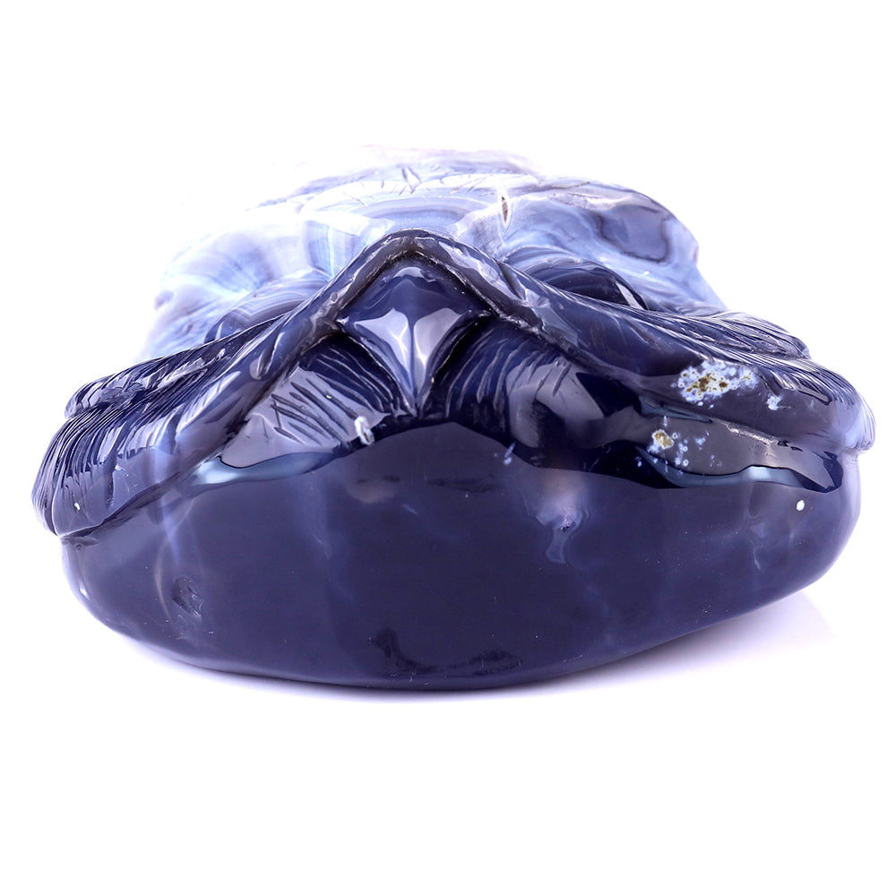 6.1" Amethyst Cluster Owl Head Carving - Unique Piece #3100104