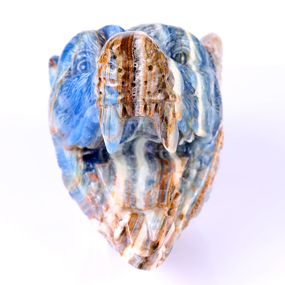 9.8" Blue Angelite Wolf Head Carving - Unique Piece #3100113