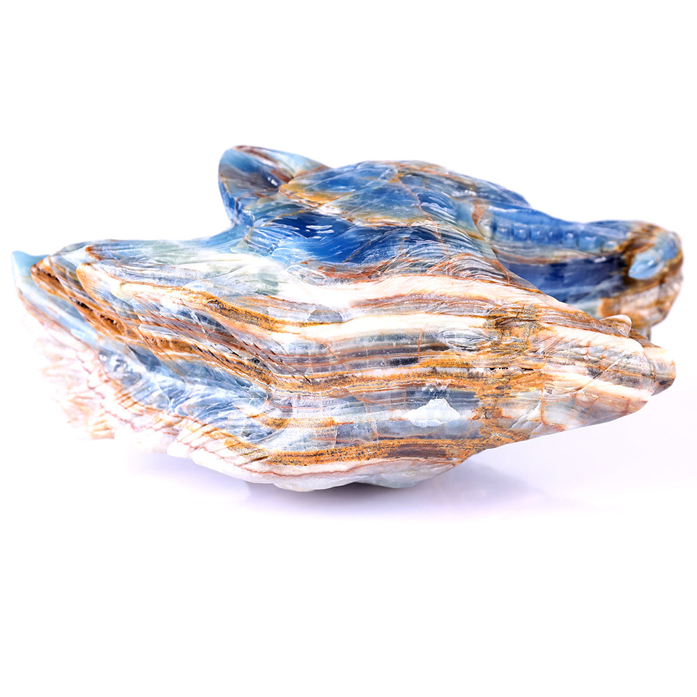 9.8" Blue Angelite Wolf Head Carving - Unique Piece #3100113