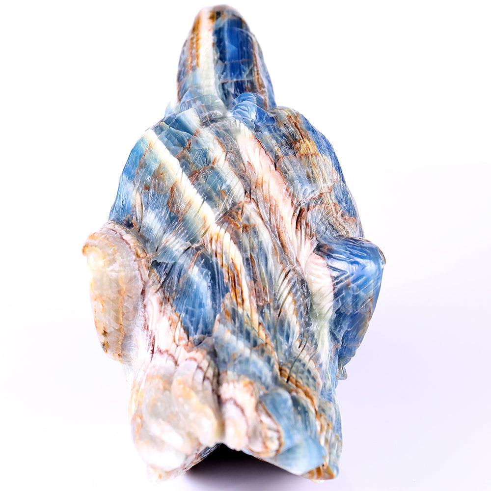 9.8" Blue Angelite Wolf Head Carving - Unique Piece #3100113