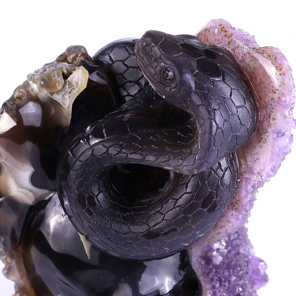 5.0" Amethyst Cluster Human Skull with Snake Carving - Unique Piece #3100161