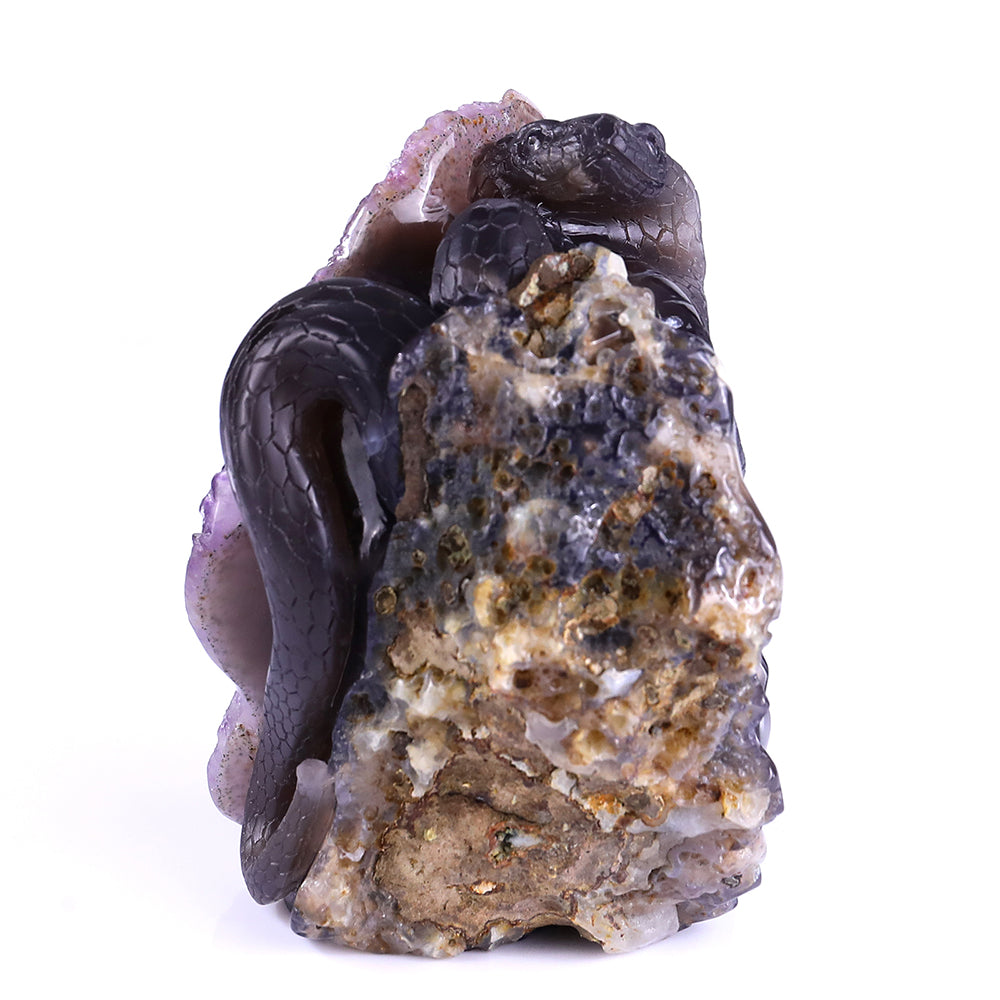 5.0" Amethyst Cluster Human Skull with Snake Carving - Unique Piece #3100161