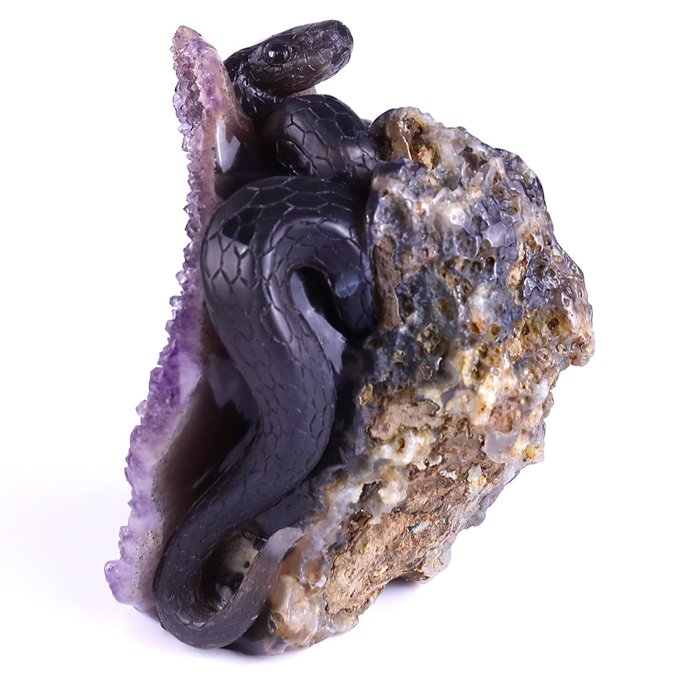 5.0" Amethyst Cluster Human Skull with Snake Carving - Unique Piece #3100161