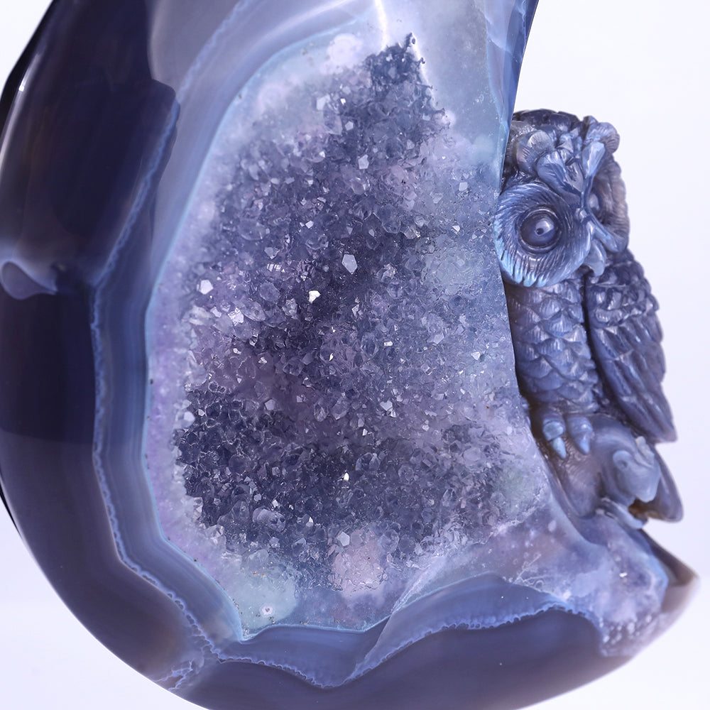 6.1" Clear Quartz Cluster Crescent Owl Carving - Unique Piece #3100164