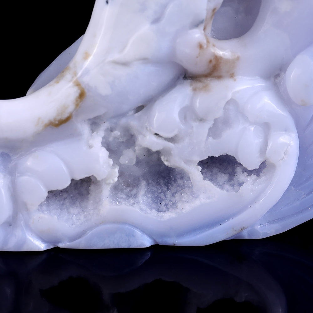 11.0" Blue Chalcedony Geode Dolphins Carving - Unique Piece #3100201