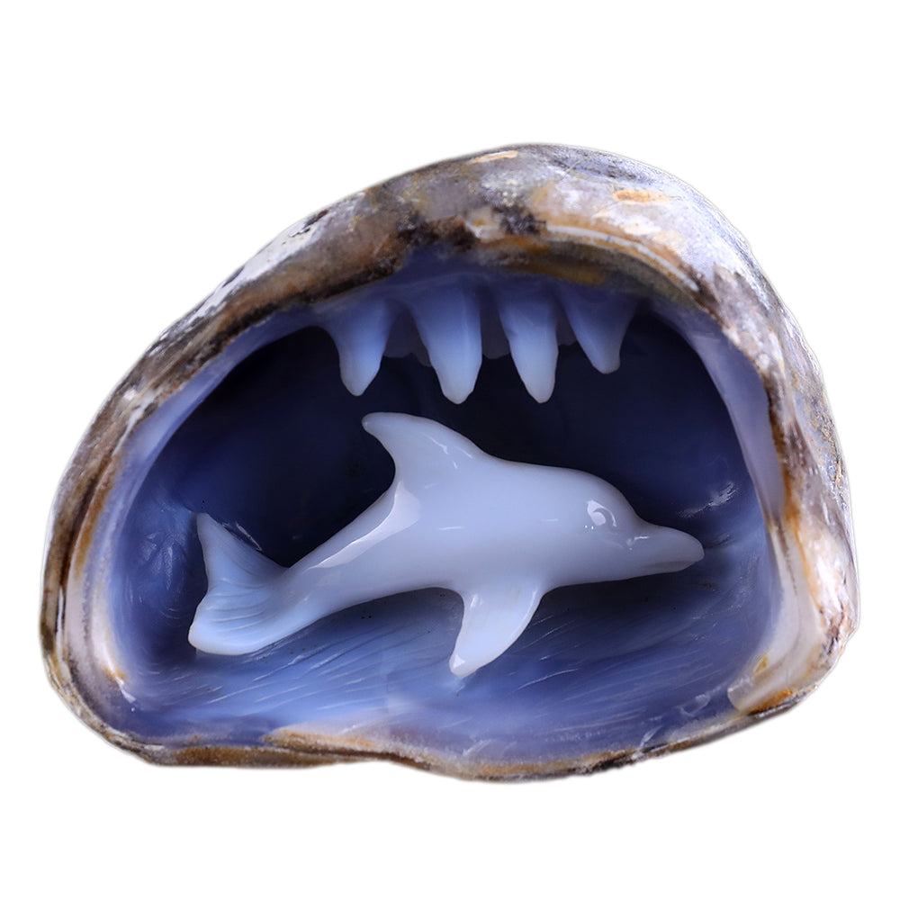 5.3" Blue Chalcedony Dolphin in Cave Carving - Unique Piece #3100260