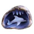 5.3" Blue Chalcedony Dolphin in Cave Carving - Unique Piece #3100260