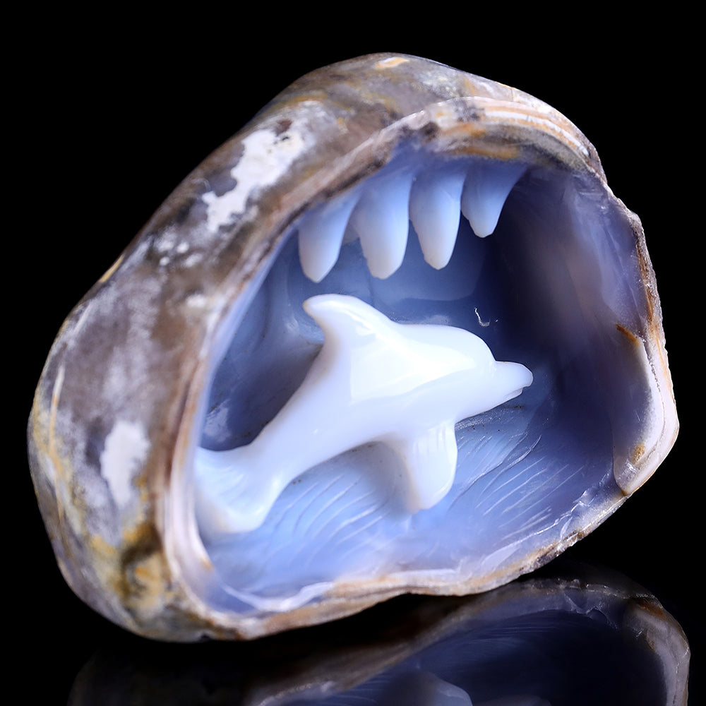 5.3" Blue Chalcedony Dolphin in Cave Carving - Unique Piece #3100260