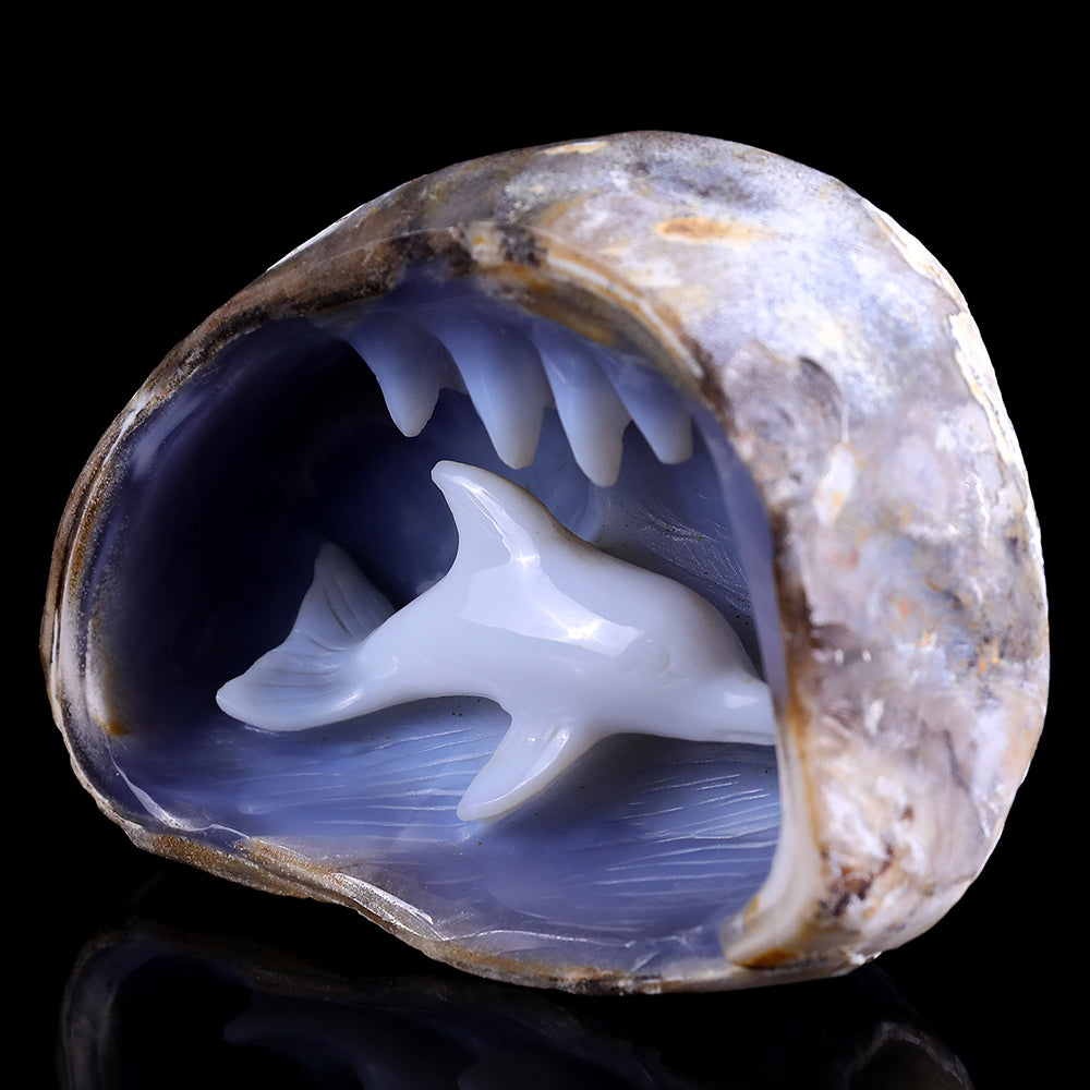 5.3" Blue Chalcedony Dolphin in Cave Carving - Unique Piece #3100260