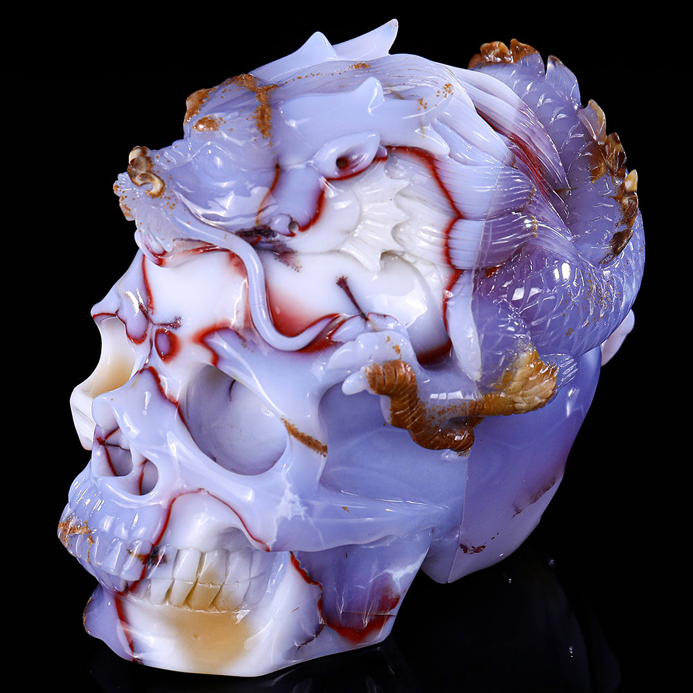 6.5" Blue Chalcedony Dragon with Skull Carving - Unique Piece #3100268