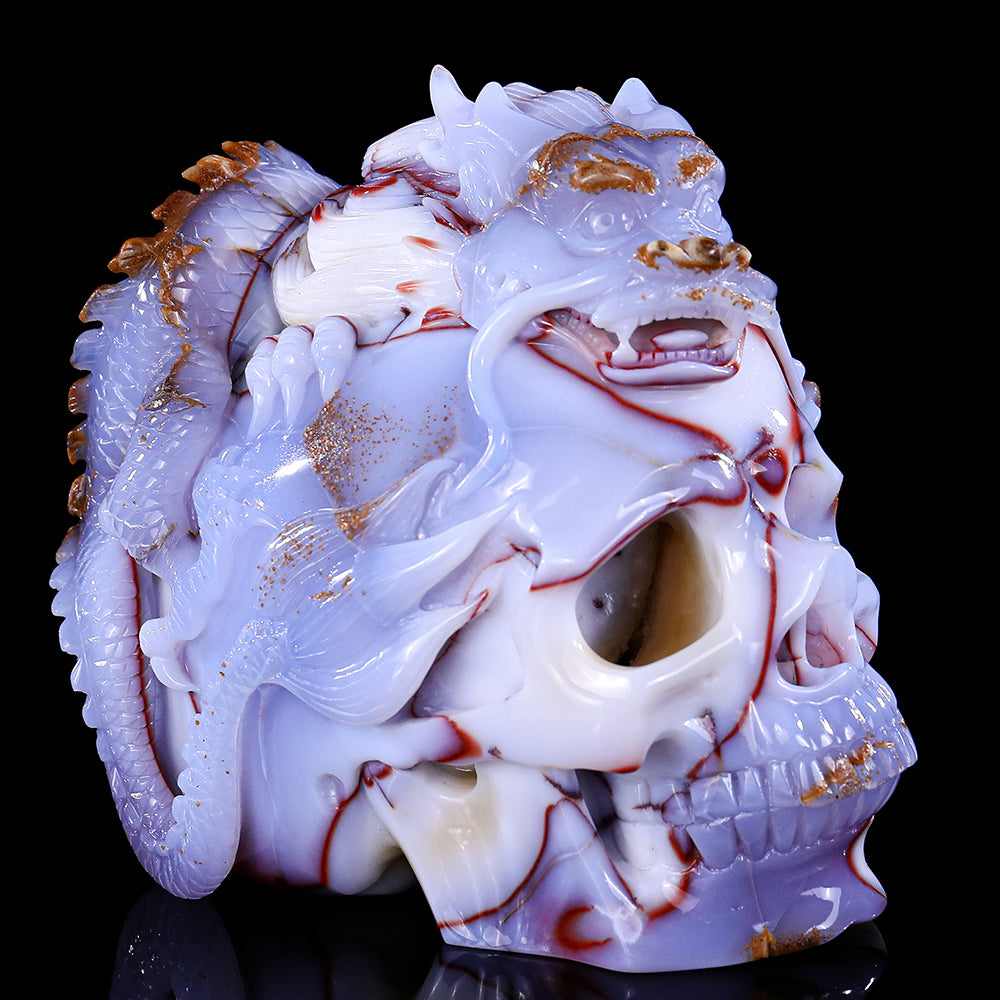 6.5" Blue Chalcedony Dragon with Skull Carving - Unique Piece #3100268
