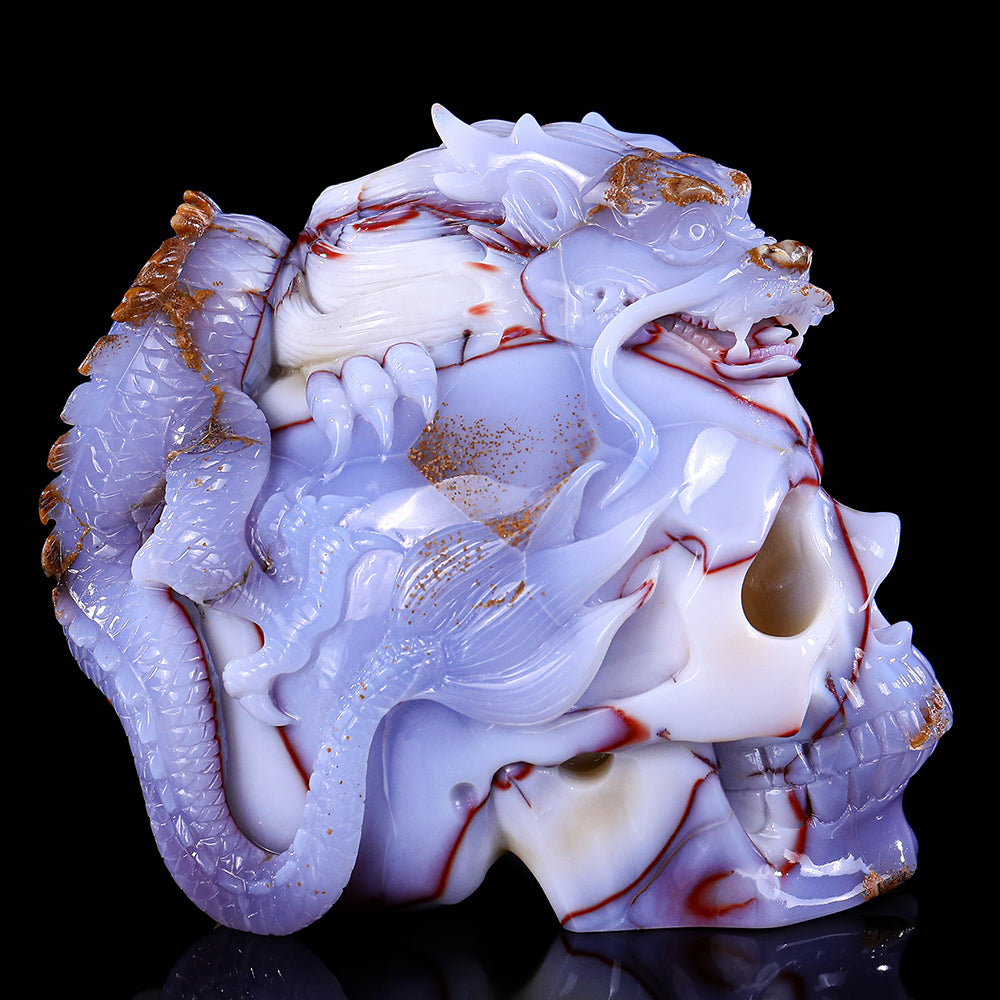 6.5" Blue Chalcedony Dragon with Skull Carving - Unique Piece #3100268