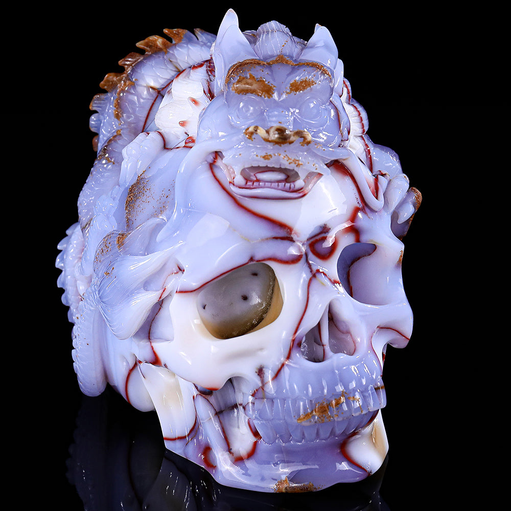 6.5" Blue Chalcedony Dragon with Skull Carving - Unique Piece #3100268
